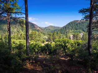 13 Edgemont Meadows Rd, Durango, CO 81301