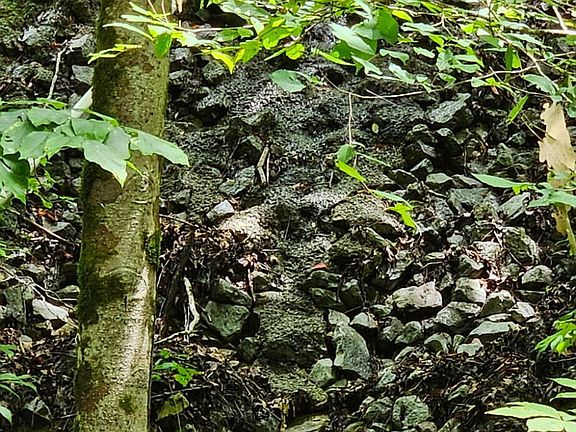 4th image of Bunch Hollow Rd