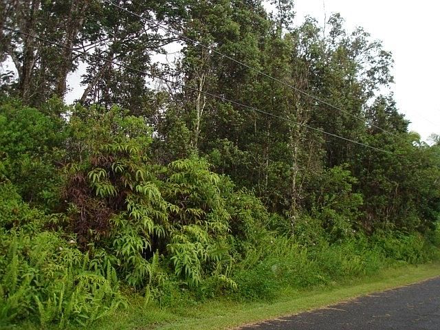 2nd image of Punawai St Lot 27