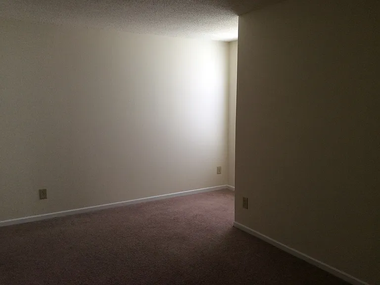 6805 Everbloom Ln — Photo 8