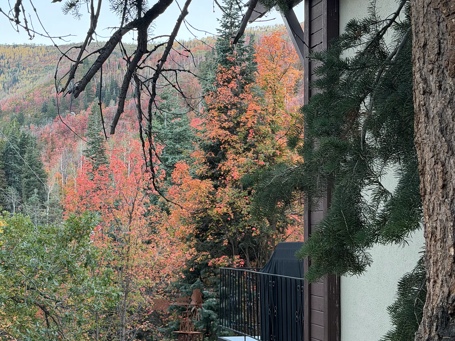 2 bed, 1400 sqft, $2,195 — Photo 4