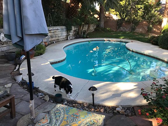 Back yard