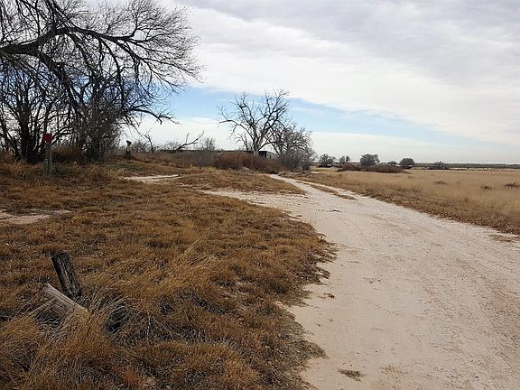 5th image of 420 County Road 203
