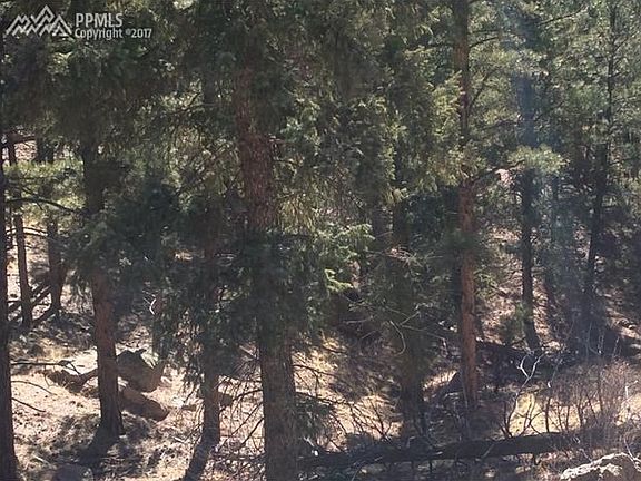 4th image of 14621 Columbine Cir