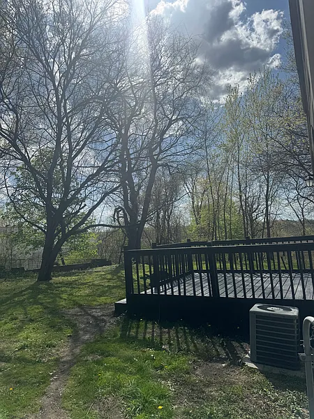 Thumbnail 17