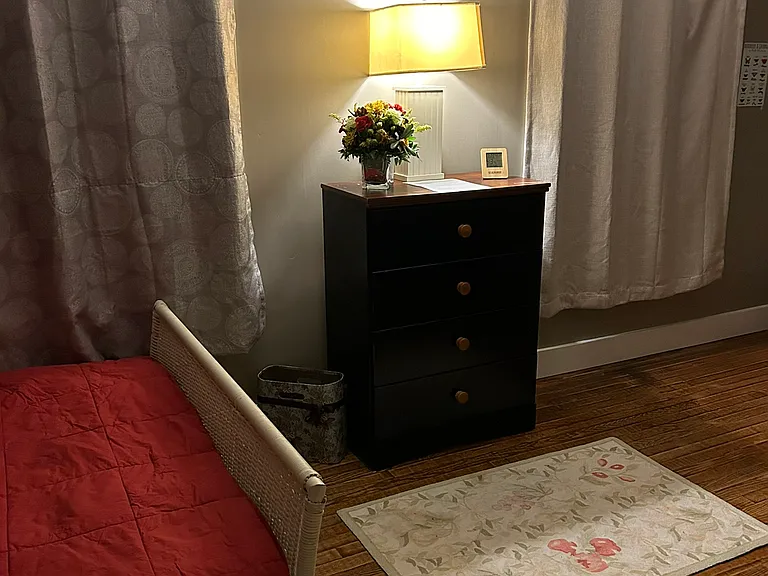 52 E 32nd St #ROOM — Photo 4