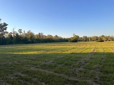 Tbd Joe Spears Rd, Iowa, LA, 70647