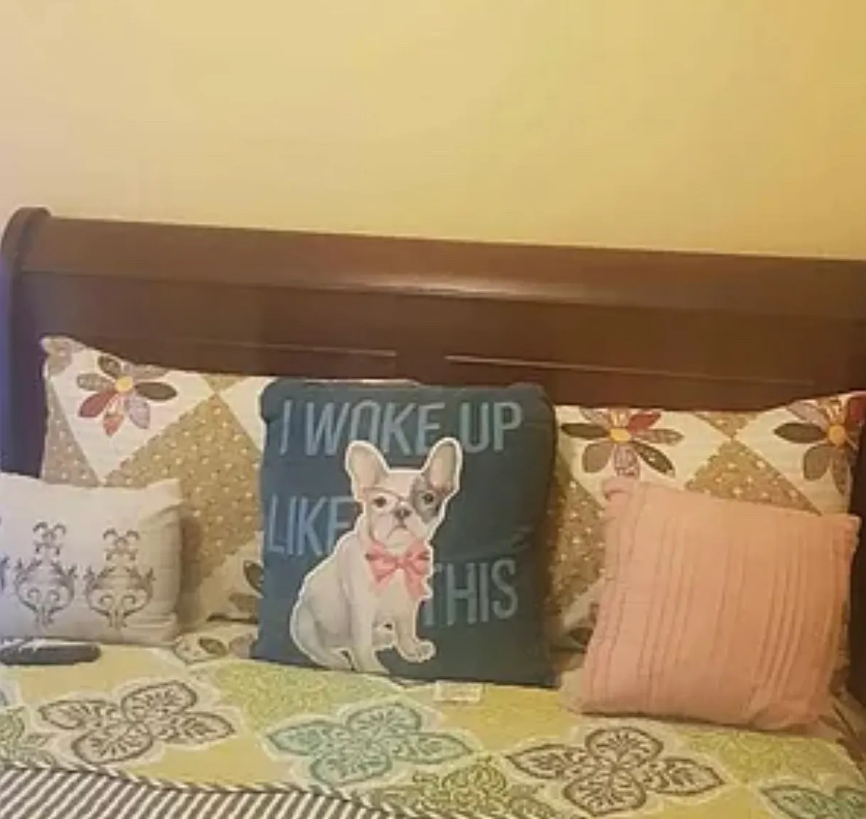 1 bed, $800 — Photo 1