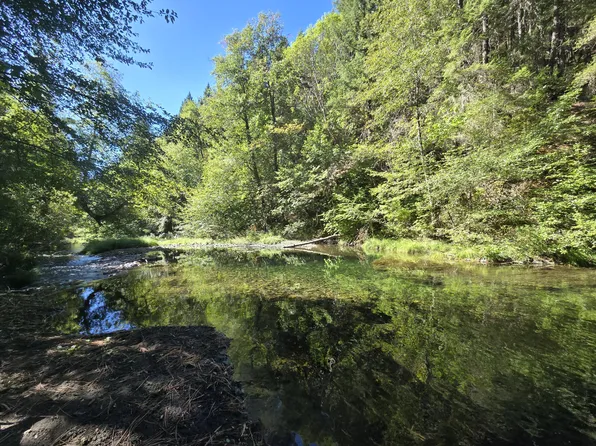 Carberry Creek Rd #Tl-800, Jacksonville, OR 97530