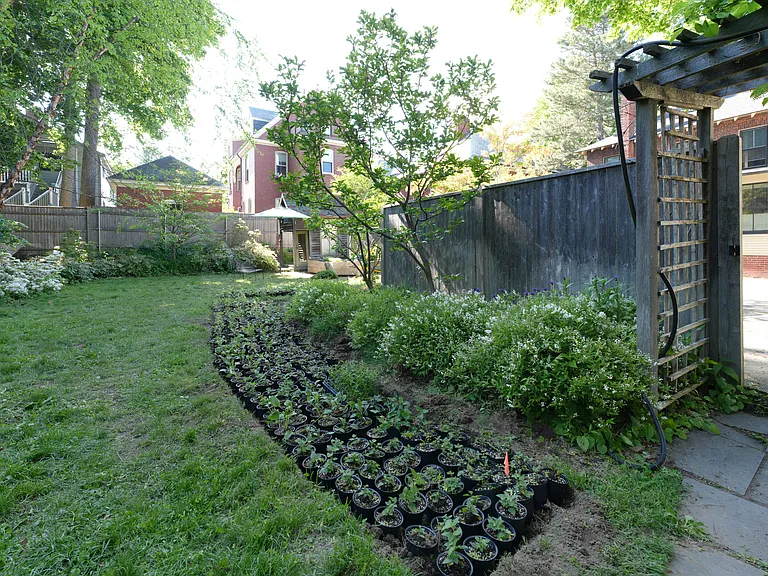 104 Neal St — Photo 38