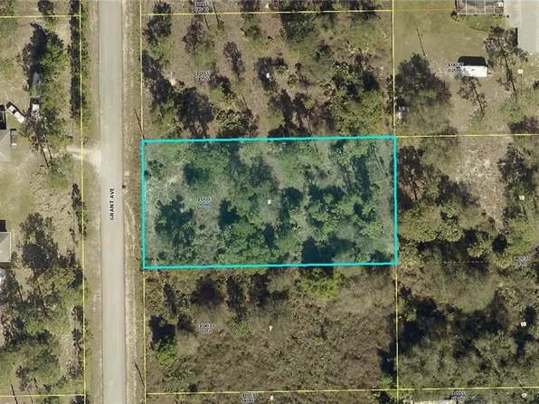 312 Grant Ave, Lehigh Acres, FL 33936