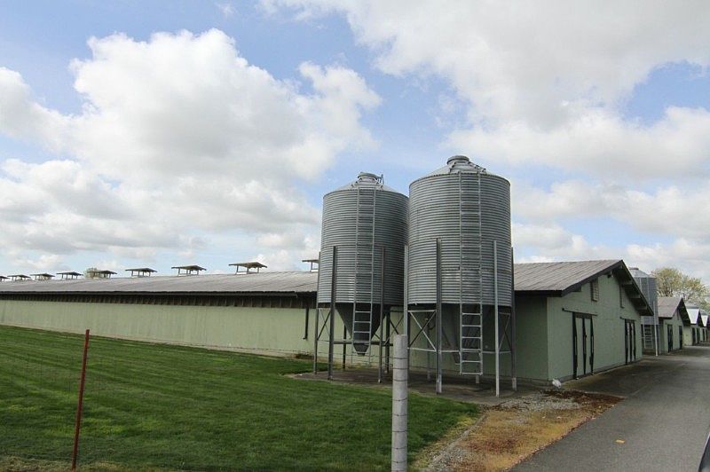 Poultry laying house