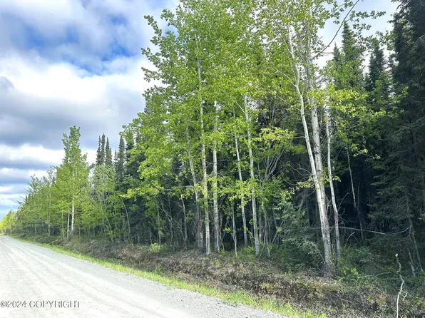 L1-B6 Lourdes Ave, Soldotna, AK 99669