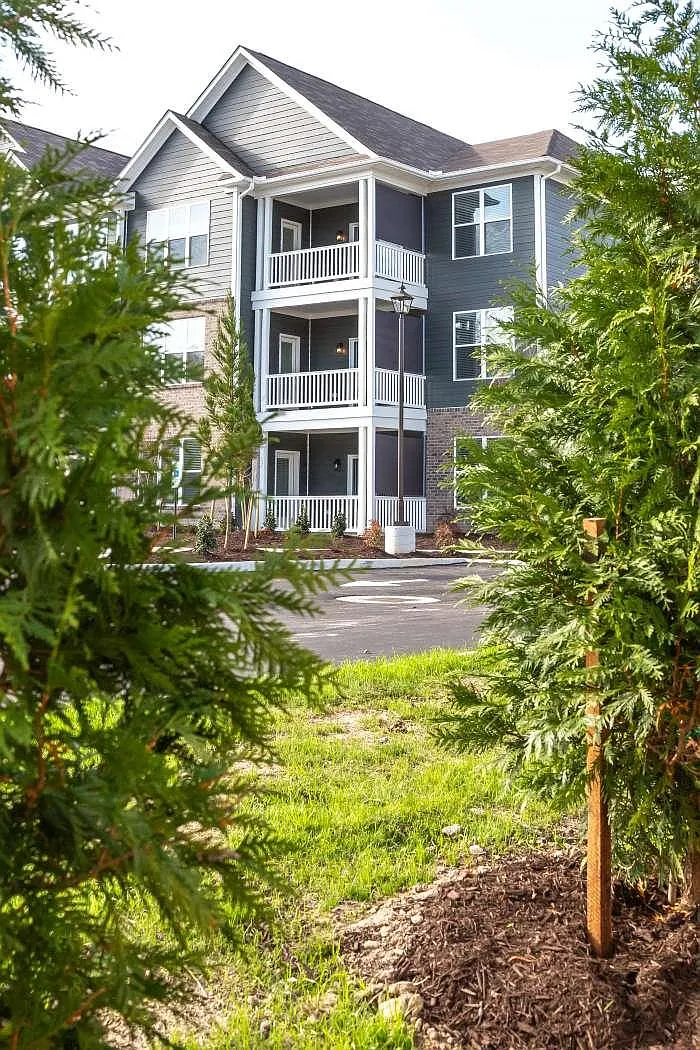1 bed, 931 sqft, $1,685 — Photo 3