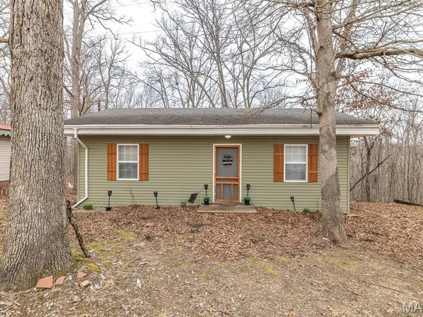 45 Rose Ln, Williamsville, MO 63967