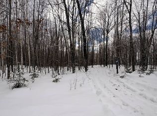 1 Log Lodge Rd, Winter, WI 54896