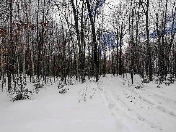 1 Log Lodge Rd, Winter, WI 54896