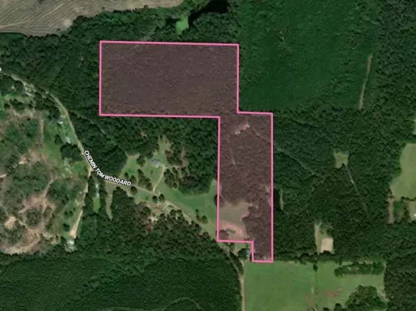LOT 1 Tom Woodard Rd, Angie, LA 70426