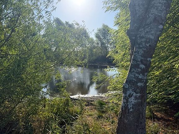5th image of 19 County Road 2200