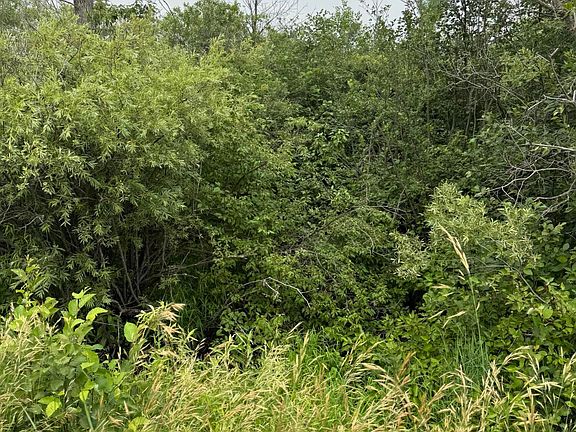 3rd image of V/l Page Rd