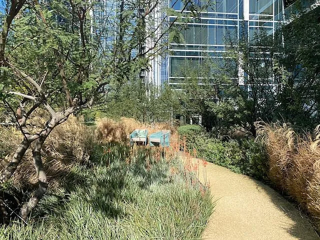 Outdoor Amenities - Herbal Garden