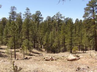 2732 Canyon View Dr, Happy Jack, AZ 86024