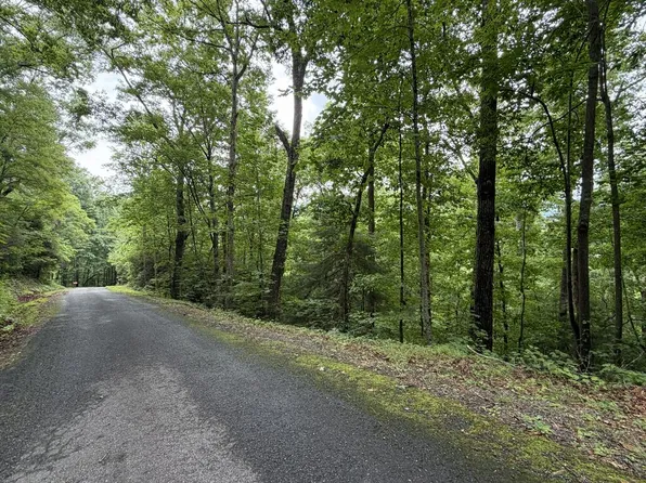 4.63 Twiggs Dr, Hiawassee, GA 30546