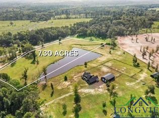 Buie Rd, Diana, TX 75640