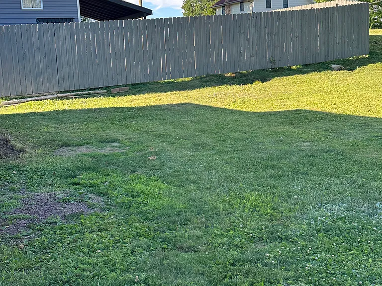 Westland Ave SW — Photo 12
