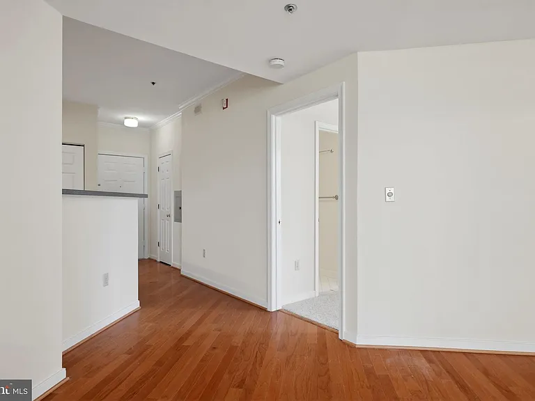 1625 International Dr #316 — Photo 5