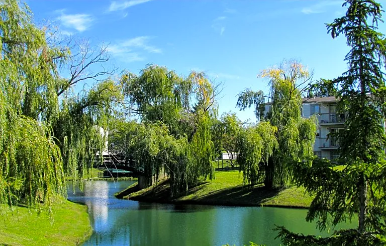 Sterling Lake - Sterling Heights, MI — Photo 28