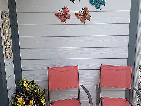 Outdoor Chairs by Garage