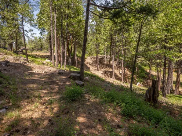2690 Cheyenne Way, Arnold, CA 95223