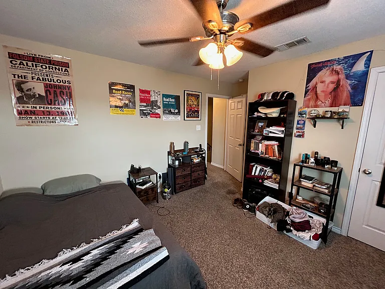 2502 Horse Shoe Dr — Photo 8