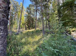 LOT 41 W Woodland Springs Rd, Lead, SD 57754