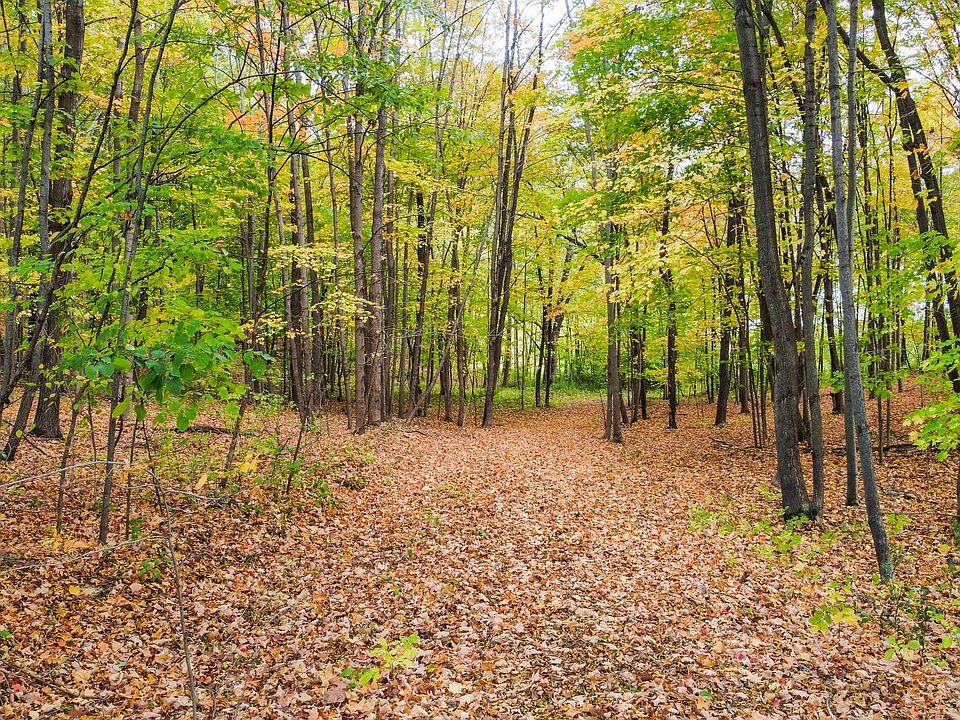 162XX 280th St, Center City, MN 55012 MLS 6457067 Zillow