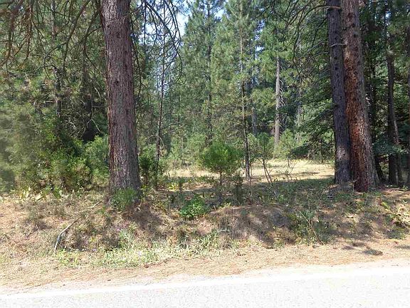 2nd image of 1665 Pinebrook Way #1