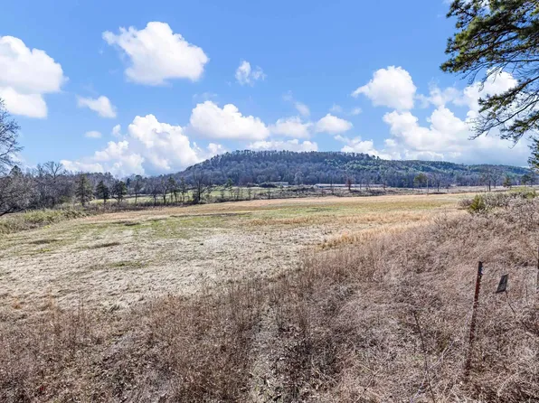 5 Booger Hollow Rd, Dover, AR 72837