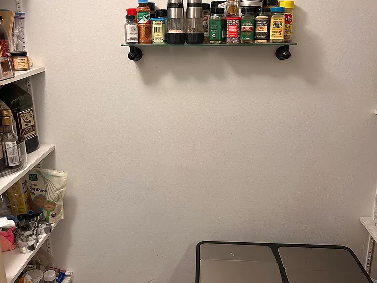 Pantry right off the kitchen with built in storage.