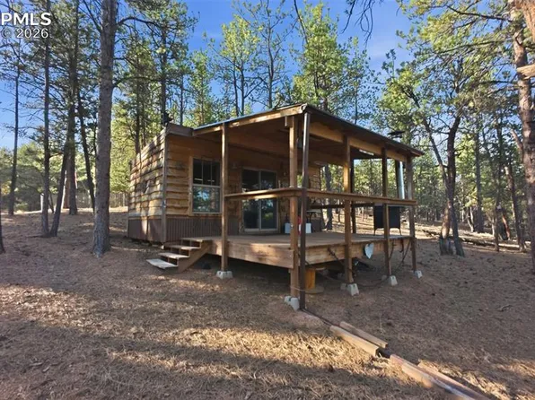 163 Ouray Rd, Florissant, CO 80816