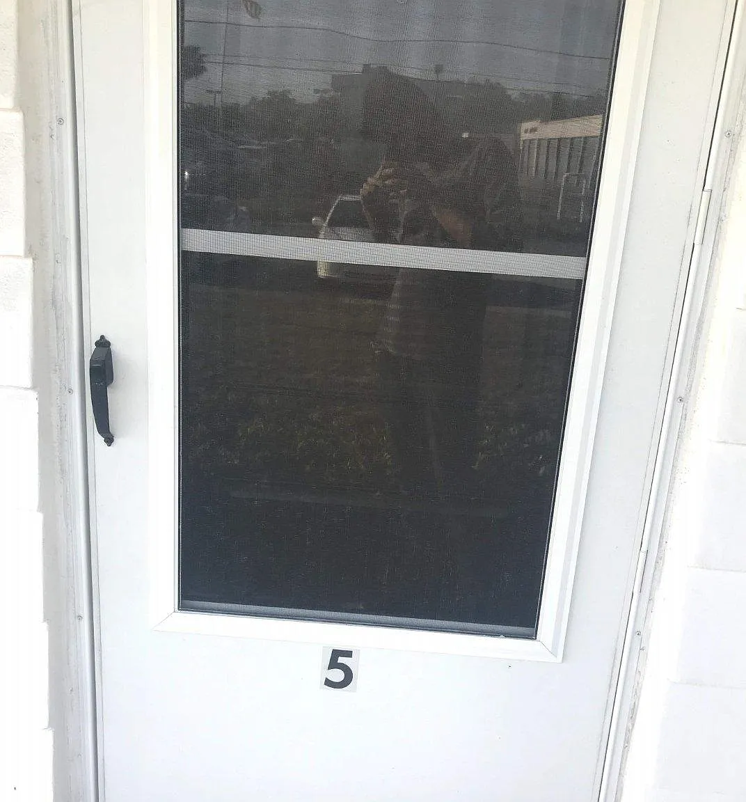 1 bed, 585 sqft, $1,400 — Photo 2