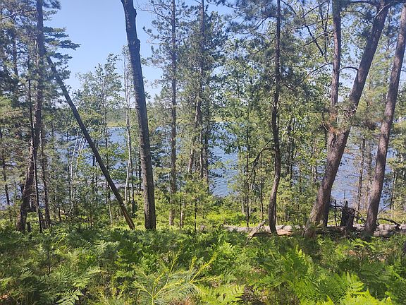 Lake Emma Rd, Hawks, MI 49743 | MLS #201819295 | Zillow