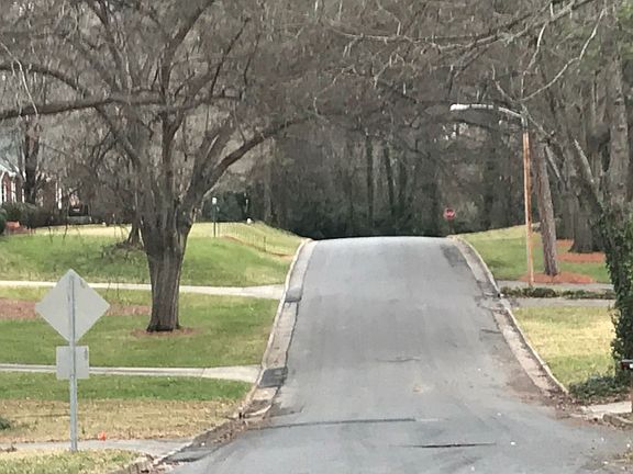 4th image of 1329 Midwood Dr