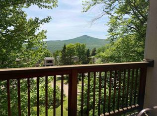 1275 Notchbrook Rd #20, Stowe, VT 05672
