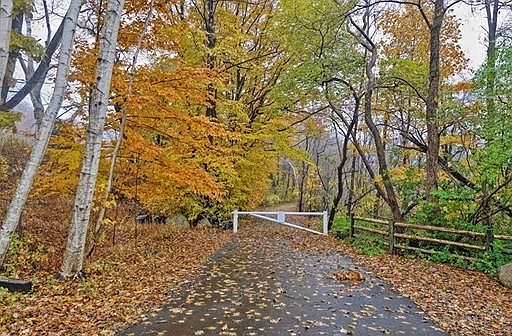 3rd image of 90 Pleasant St #C