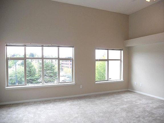 Vaulted ceilings and big, bright windows