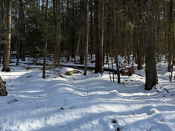 3rd image of 0 Four Mile Brook Rd