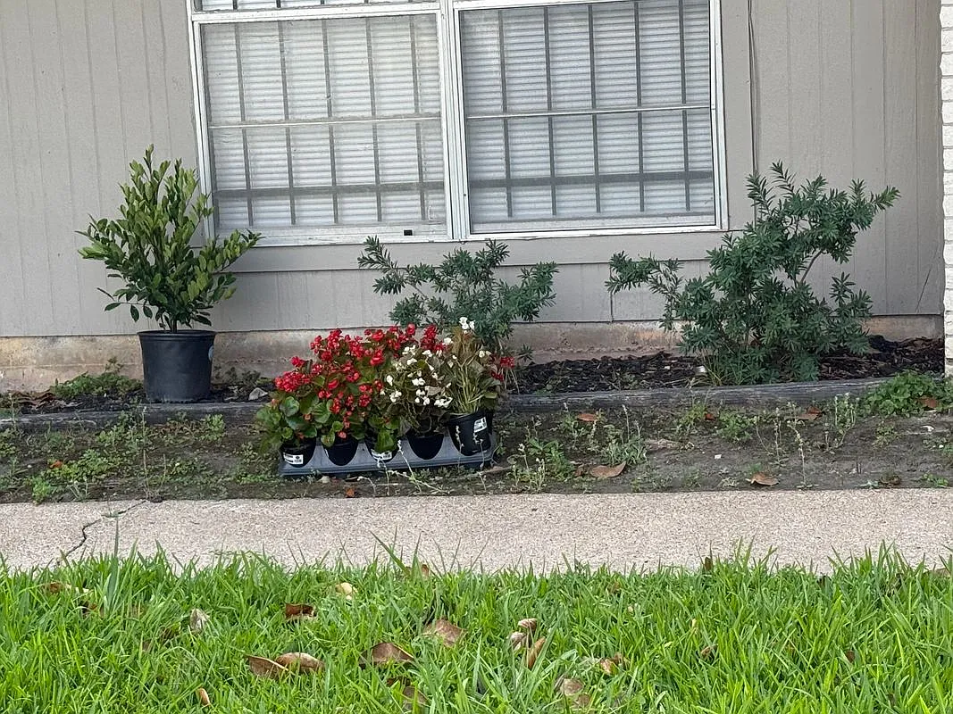 3 bed, 2.0 bath, 1184 sqft, $1,650 — Photo 3