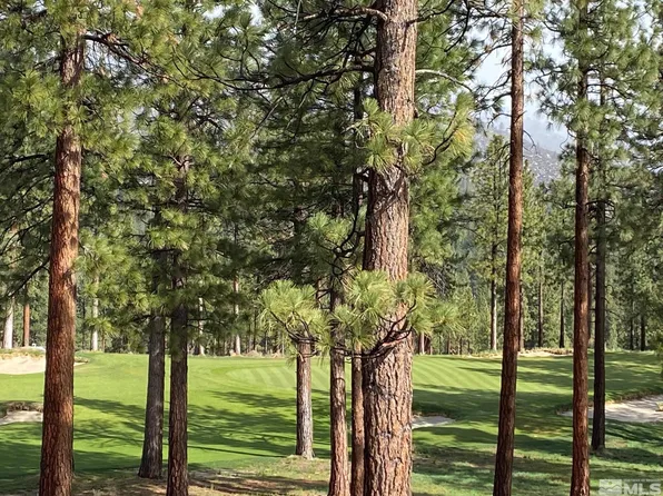 245 Mill Race Loop, Carson City, NV 89705