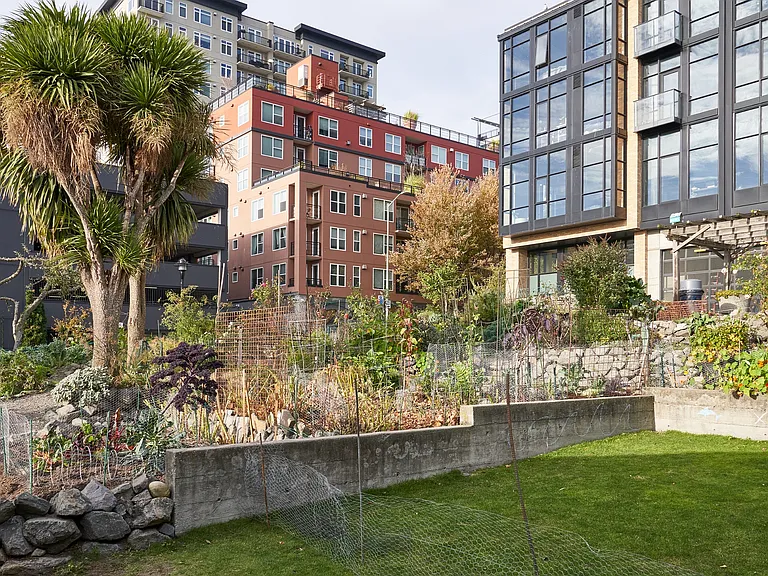 Belltown Neighborhood (Belltown P-Patch Community Gardens)